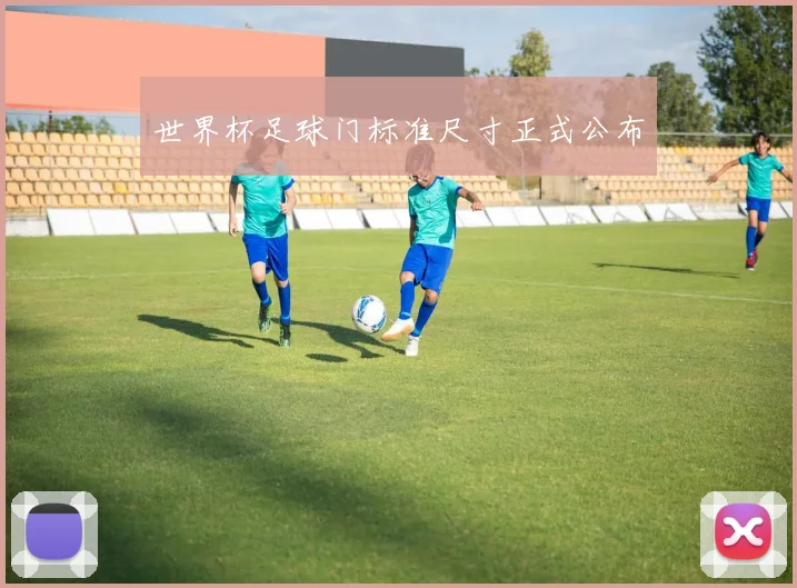 世界杯足球门标准尺寸正式公布