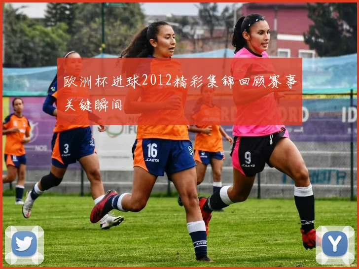 欧洲杯进球2012精彩集锦回顾赛事关键瞬间