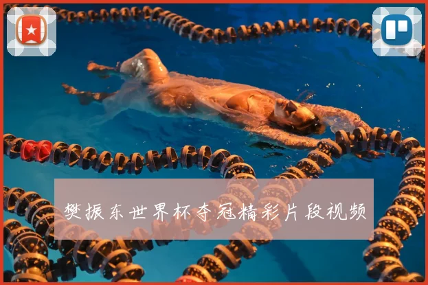 樊振东世界杯夺冠精彩片段视频