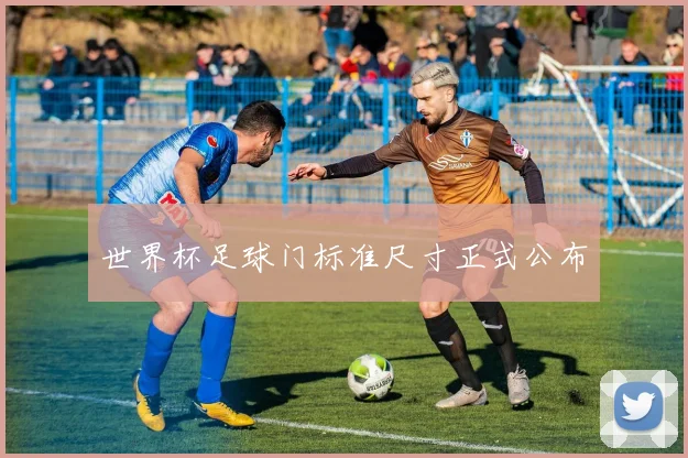 世界杯足球门标准尺寸正式公布
