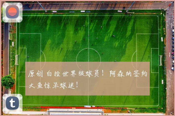 原创 白捡世界级球员！阿森纳签约大鱼惊呆球迷！